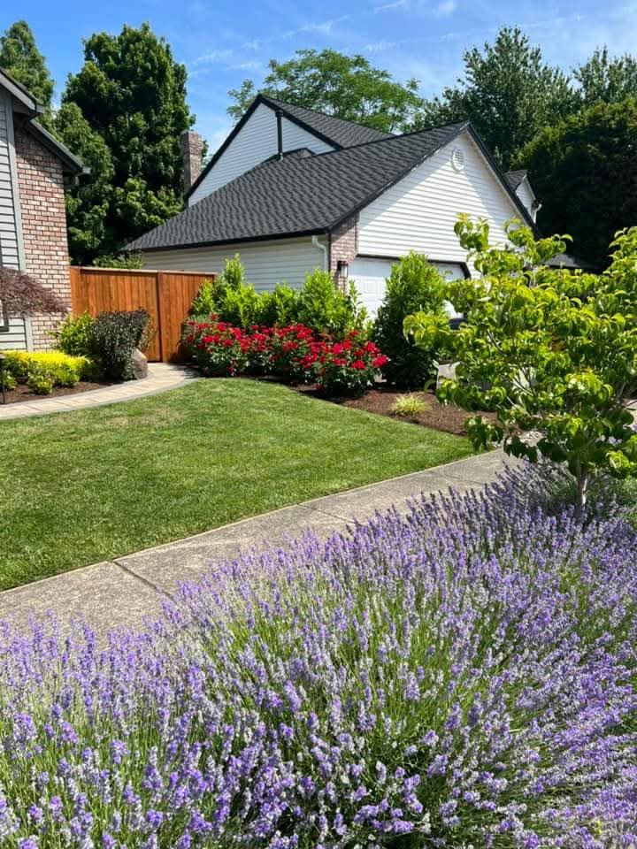 CG Landscaping